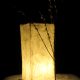 Signs of Spring | LED Nature Light Fixtures 1