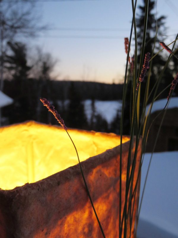 Shades of Spring | LED Nature Light Fixtures 4