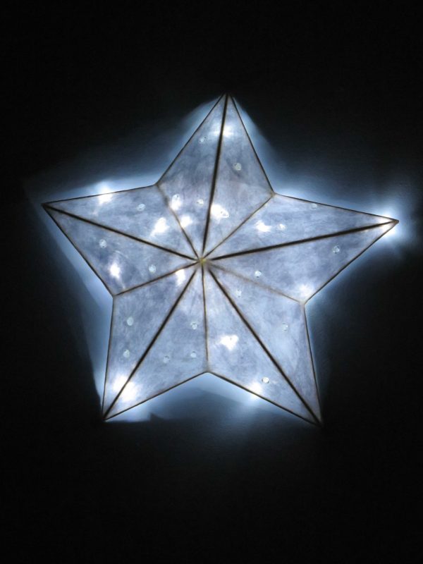 Sparkles | LED Nature Light Fixtures 4