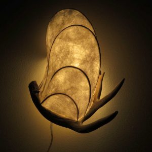 Young Buck | LED Nature Light Fixture 08