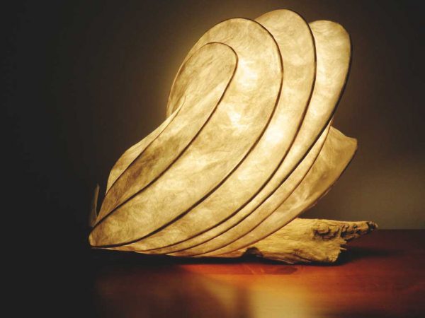 LED Nature Light Fixtures | The Moran Effect 05