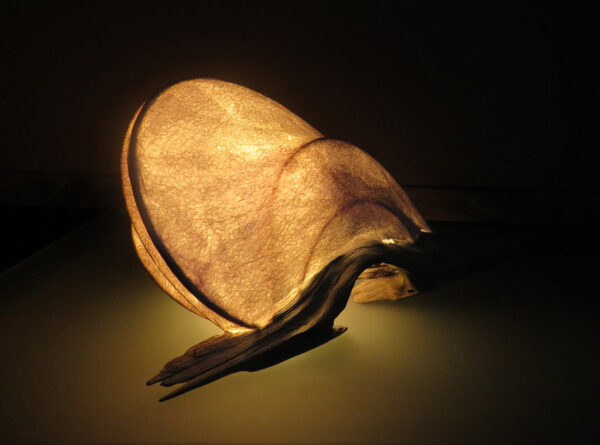 LED Light Sculpture - Nature's Lace 07