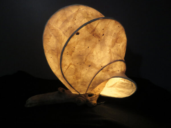 LED Light Sculpture - Otter's Wake 02