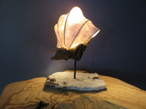 LED Light Sculpture - Moth to a Flame 03