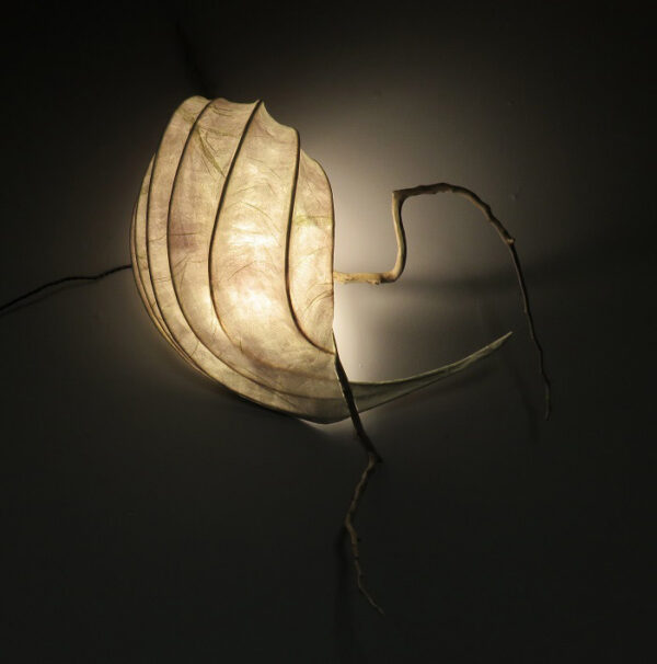 LED Light Sculpture - Healing Cedar 03