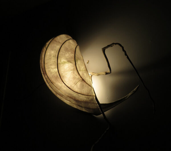 LED Light Sculpture - Healing Cedar 07